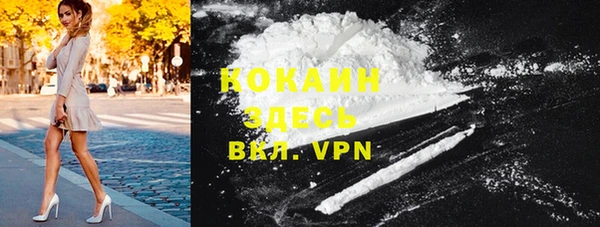 шишки Михайлов